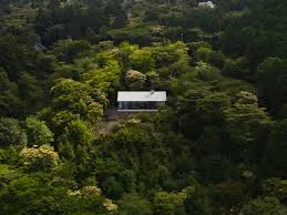 Villa T à Amagi-Kogen: Beauté entre Nature et Architecture Japonaise