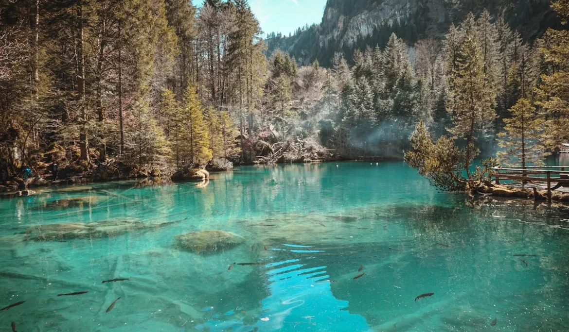 Pergola bioclimatique design à Toulouse par architecte Magnabal