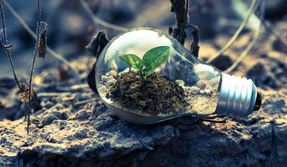 Rénovation énergétique biosourcée avec architecte RGE en Occitanie
